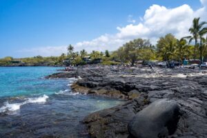 The Best Big Island Snorkeling: 5 Spots to Add to Your Hawaii Bucket