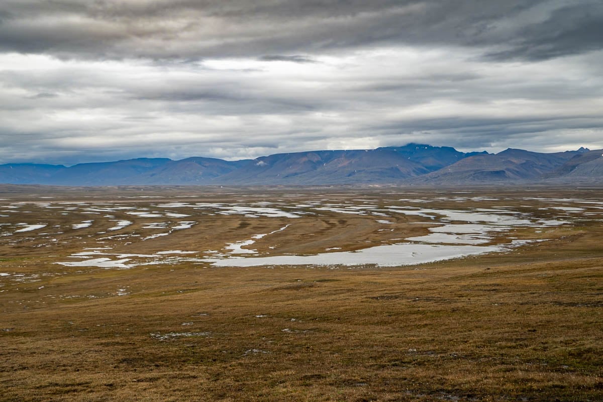 Marshy hillside with mountains in the background in Ittoqqortoormiit, Greenland