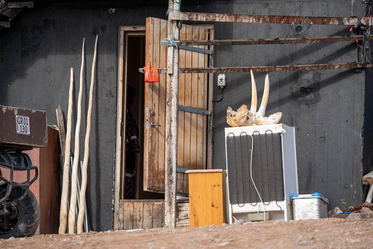 Narwhal tusks and walrus skull laying outside of a resident's home in Ittoqqortoormiit, Greenland