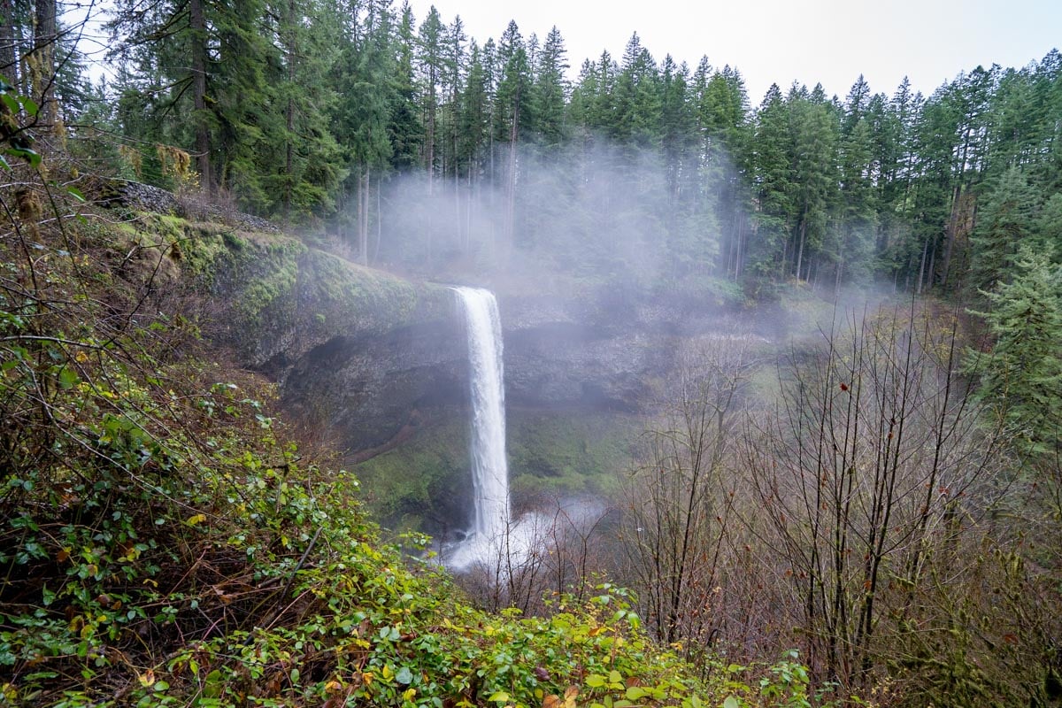 Abiqua Falls Hike to Oregon's Most Unique Waterfall Uprooted Traveler