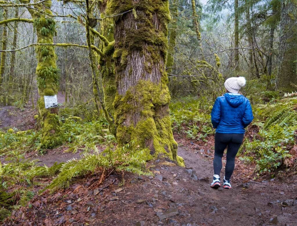 Woman hiking on the Abiqua Falls trail