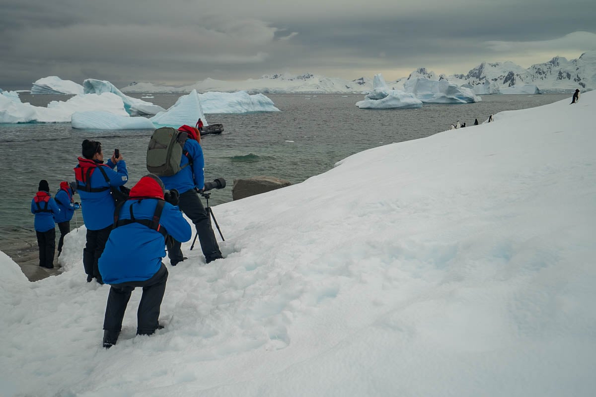 People taking photos of penguins on a snowy hill with icebergs and mountains in the background in Antarctica cruise