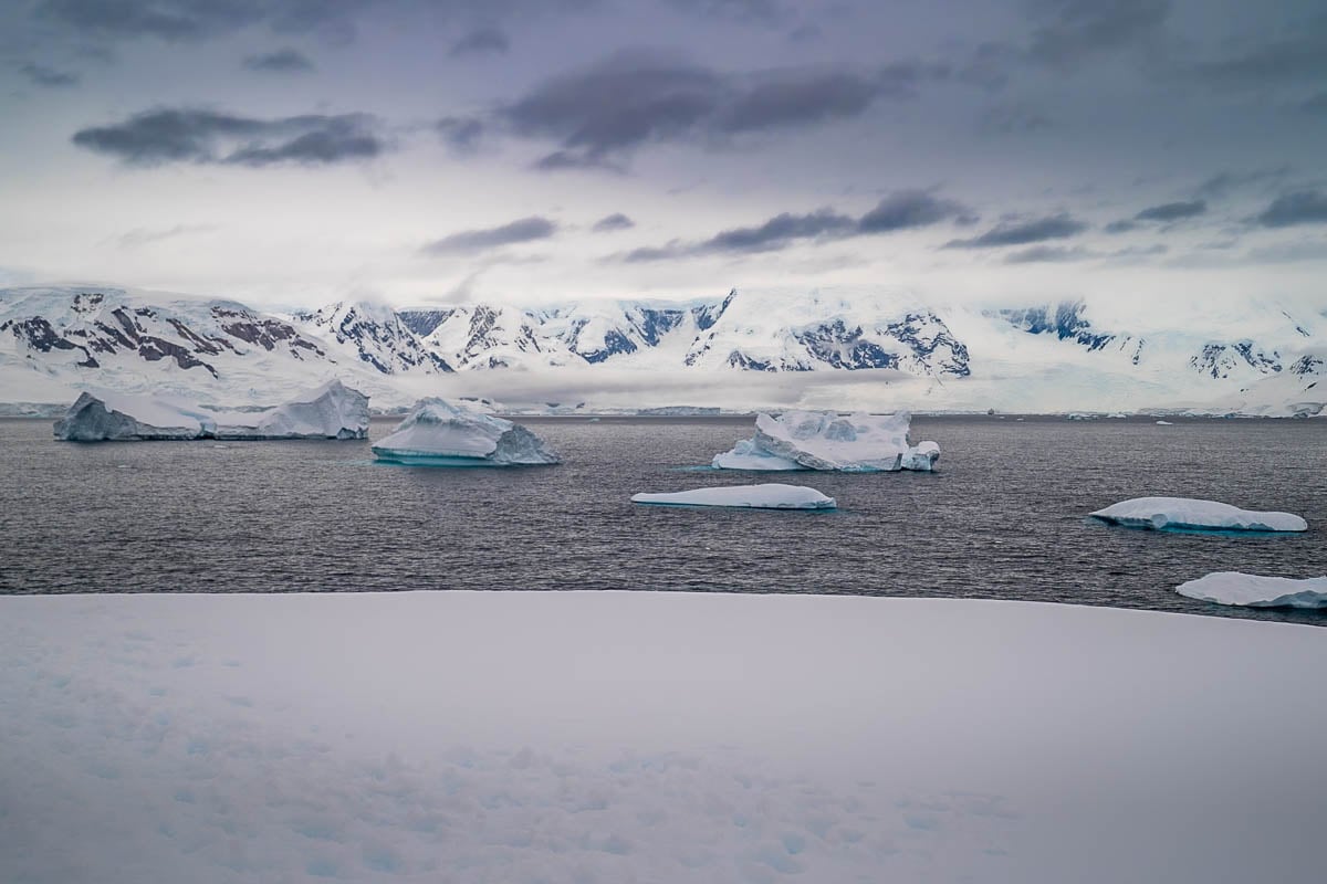 Icebergs floating in a bay near Portal Point with snowy mountains in the background in Antarctica