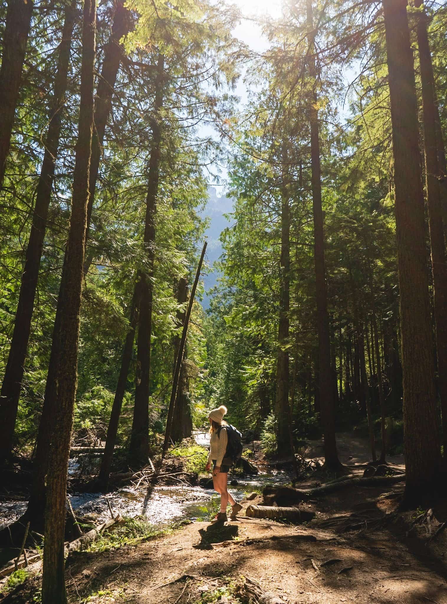 Woman hiking along the Avalanche Lake trail in Glacier National Park