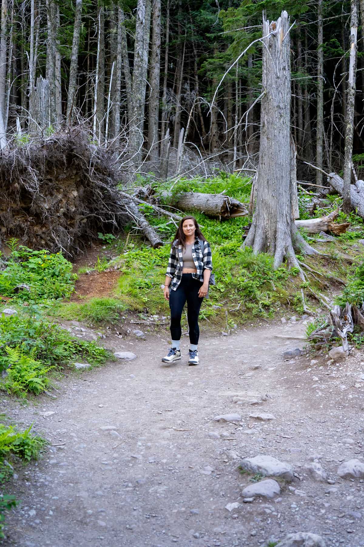 Woman hiking through a forest along the Avalanche Lake Trail in Glacier National Park, Montana