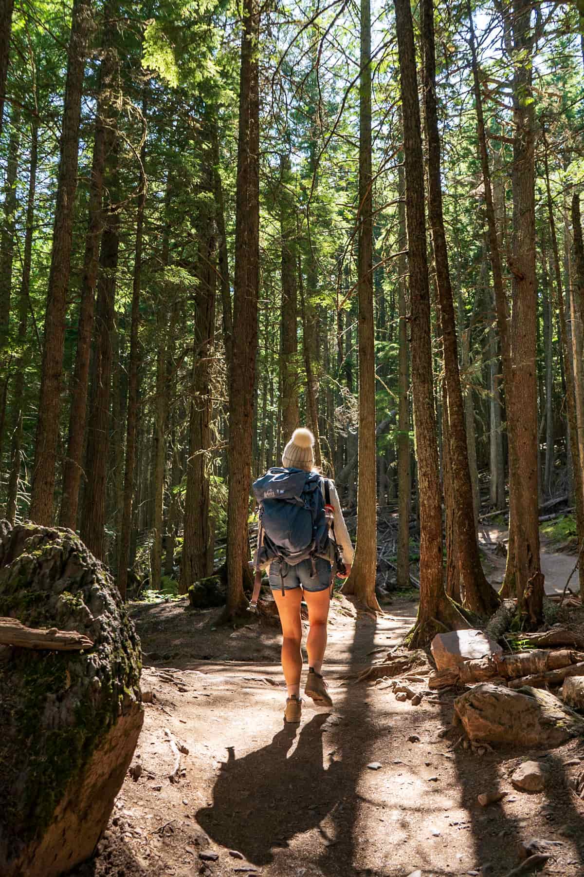 Woman hiking through a dense forest along the Avalanche Lake Trail in Glacier National Park, Montana