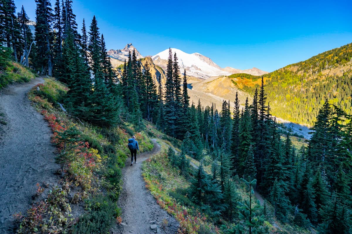 Woman hiking down switchbacks through autumnal foliage along the Summerland Trail with Mount Rainier in the background in Mount Rainier National Park