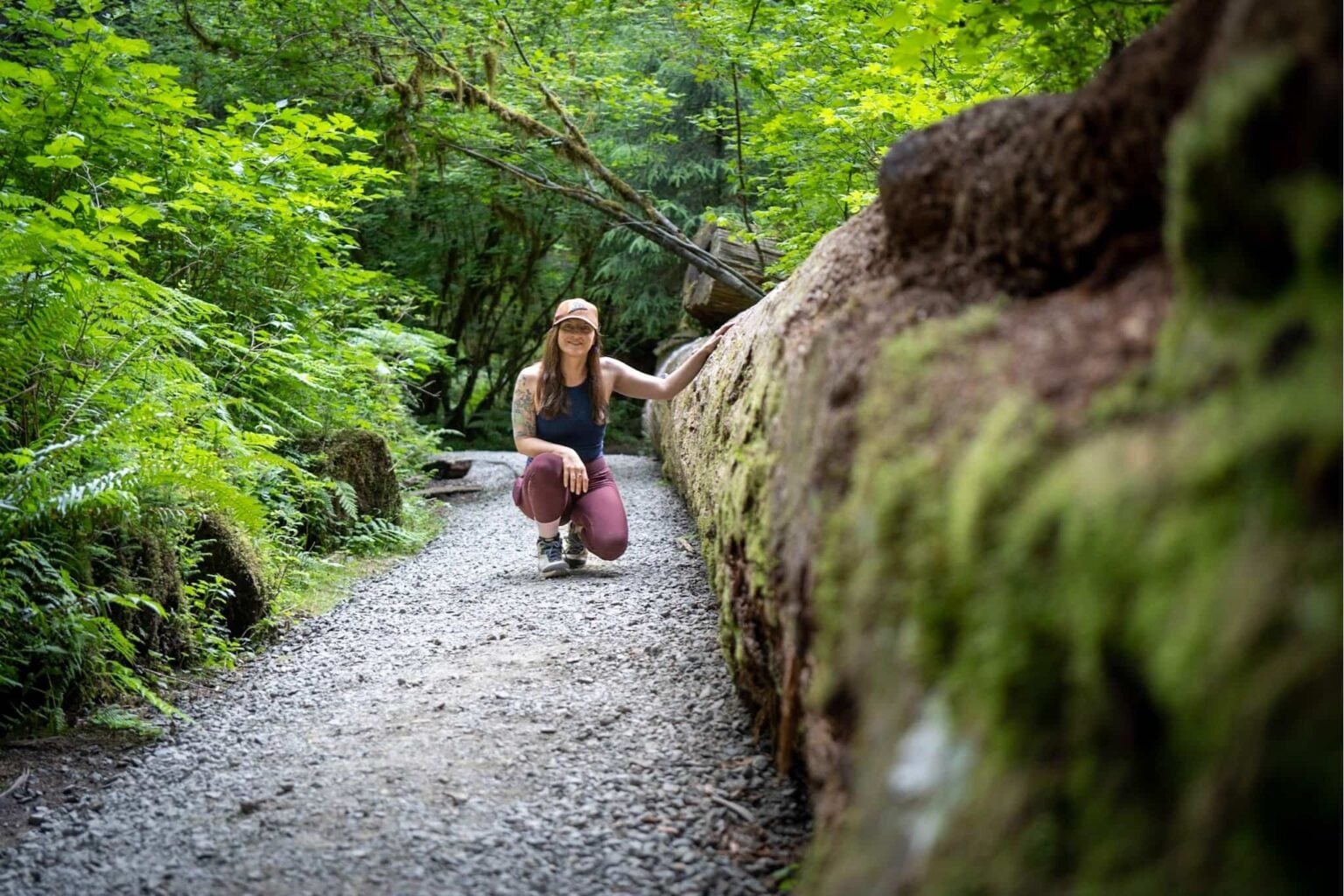 Best Hiking Trails in Olympic National Park