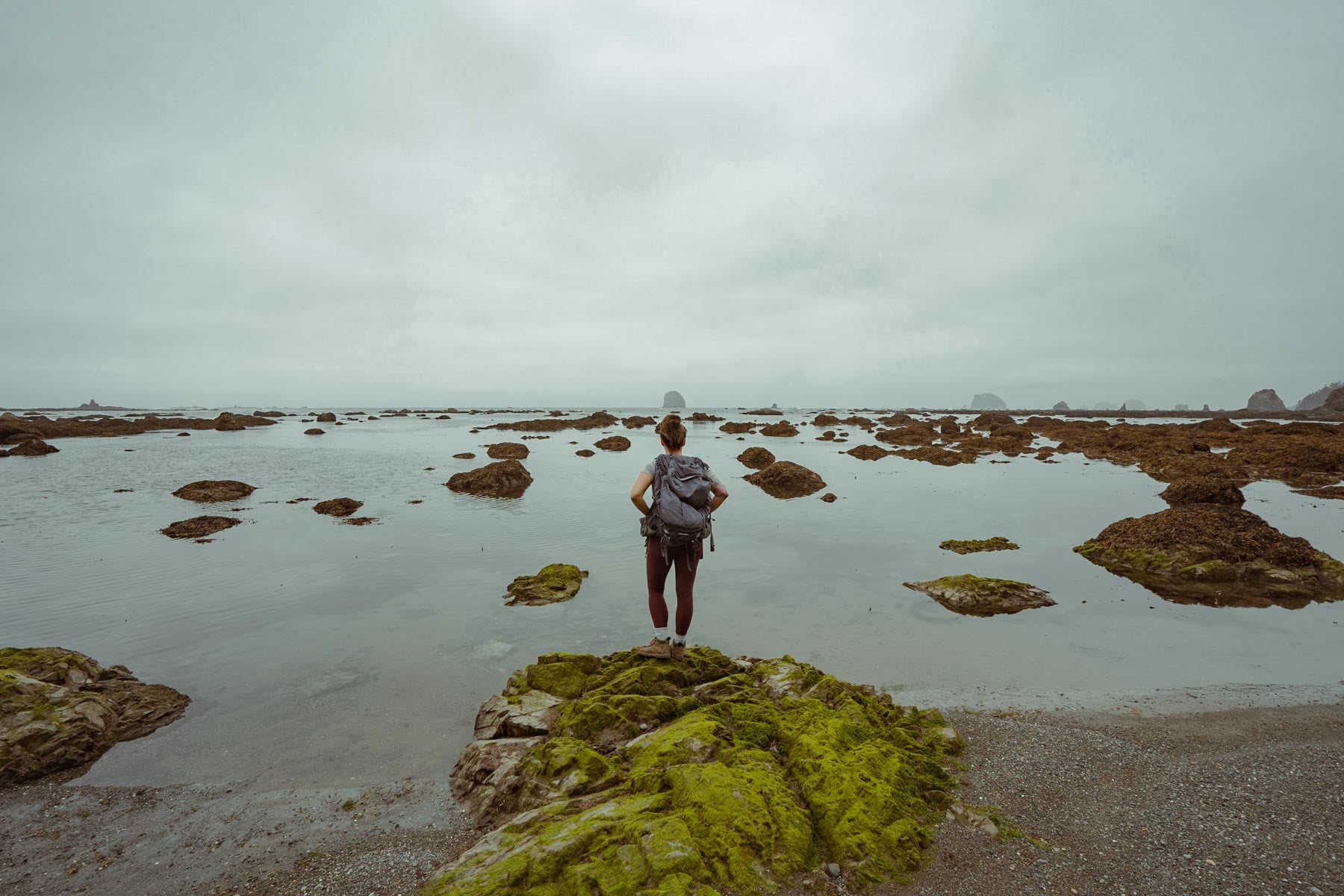 Best hiking trails in olympic national park