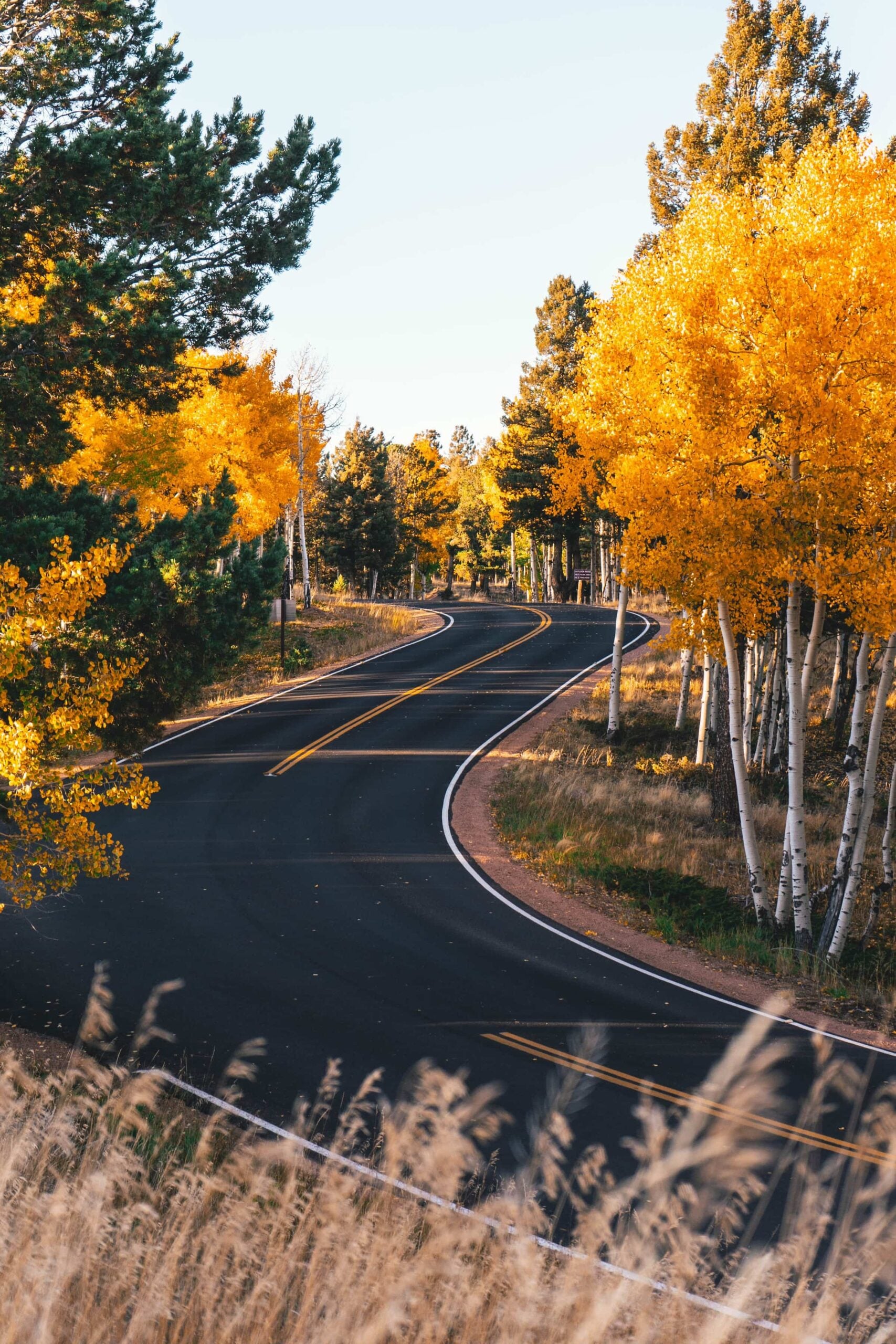 Road in Rocky Mountain National Park in October
