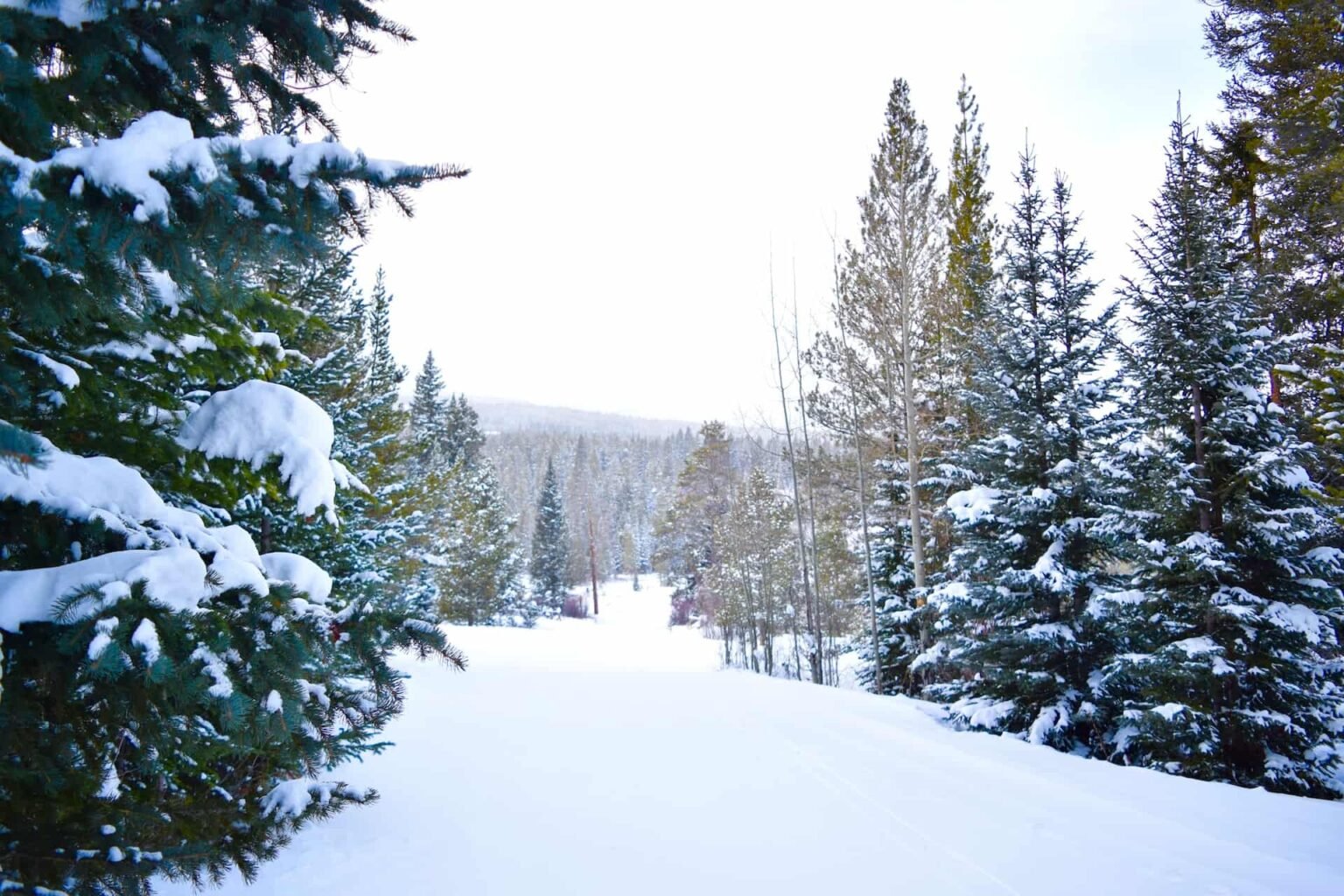 13 Best Ski Resorts in Colorado for Beginners - Uprooted Traveler