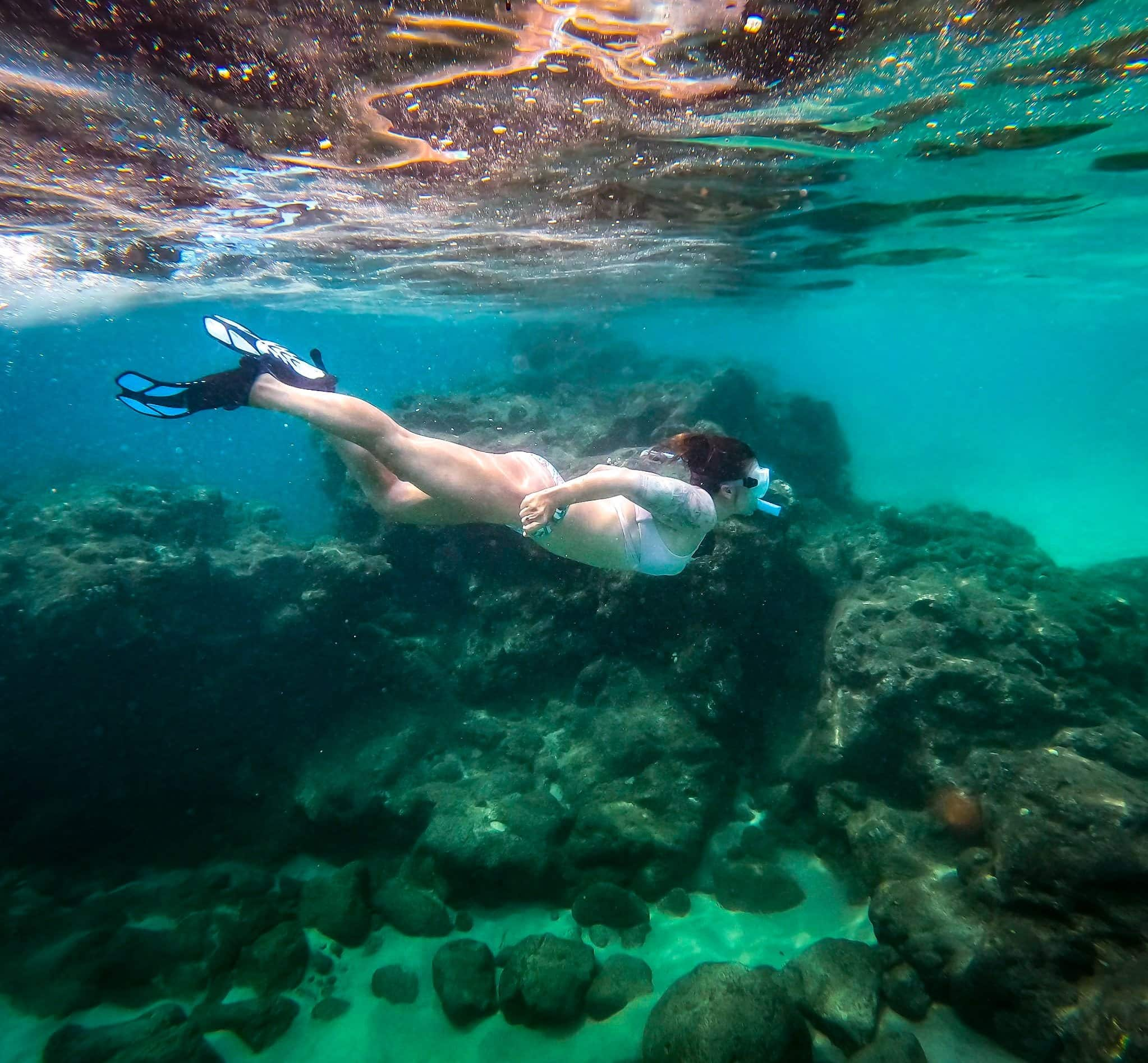 7 Best Places for Snorkeling in North Shore