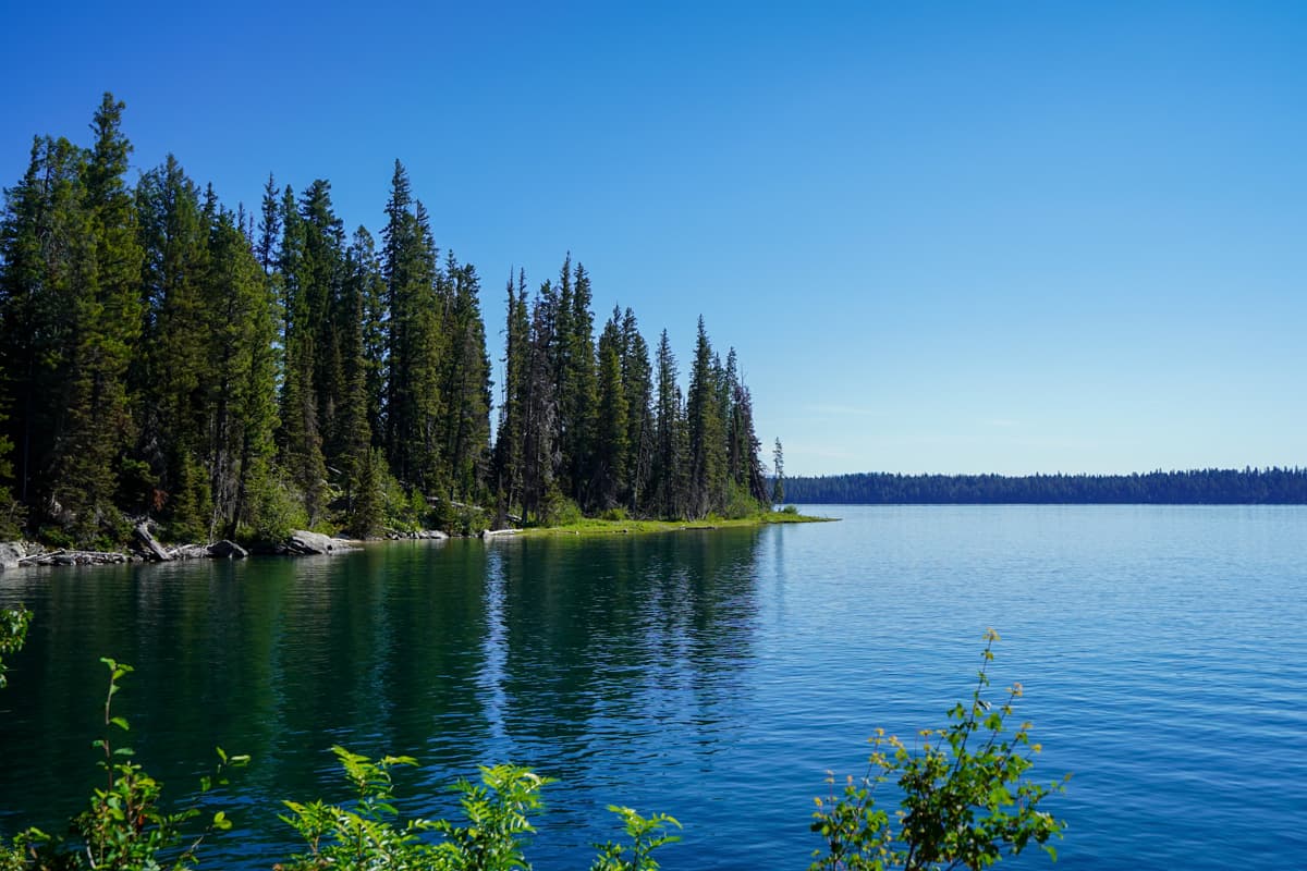 Pine trees along a shoreline of Jenny Lake from the Jenny Lake Trail in Grand Teton National Park in Wyoming