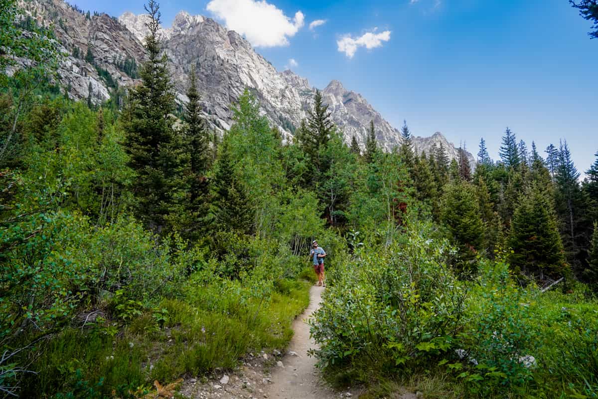 Man walking along the Cascade Canyon Trail through pine trees with Teton Mountains in the background in Grand Teton National Park in Wyoming