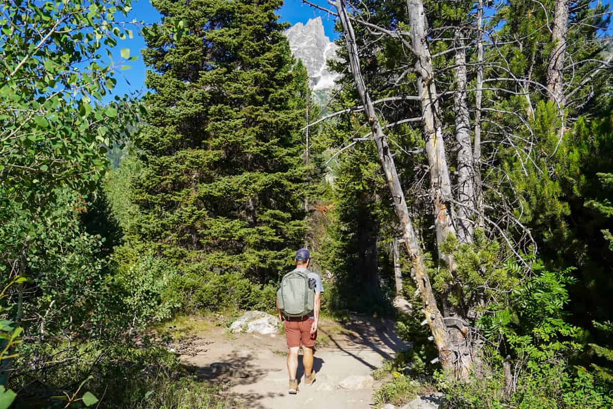 Man walking on the Jenny Lake Trail with pine trees and a mountain in the background in Grand Teton National Park in Wyoming