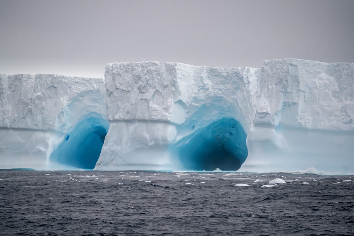 Icebergs floating in the Southern Ocean