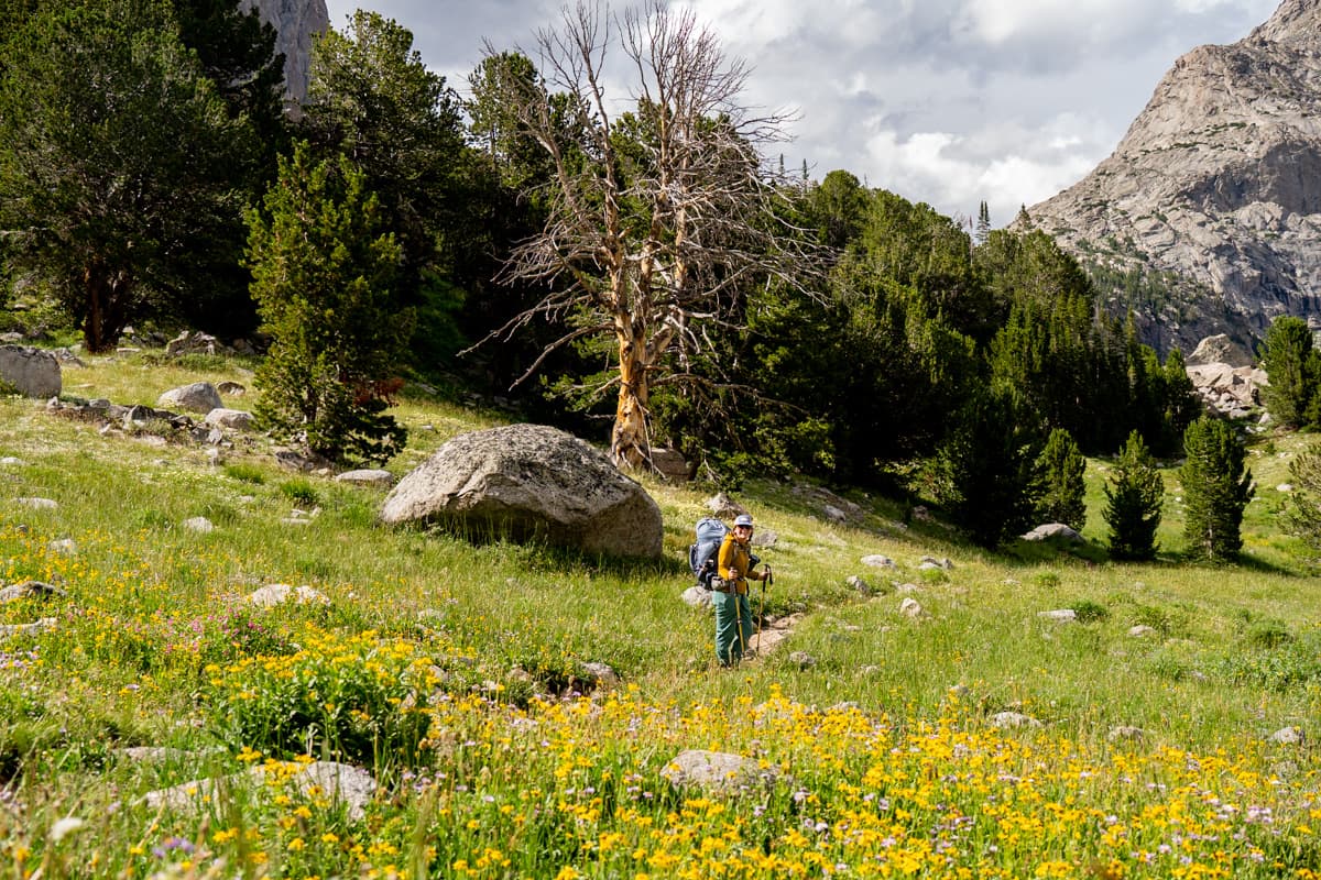 Woman standing in a field of wildflowers with woods in the background along the Cirque of the Towers Trail in the Wind River range of Wyoming