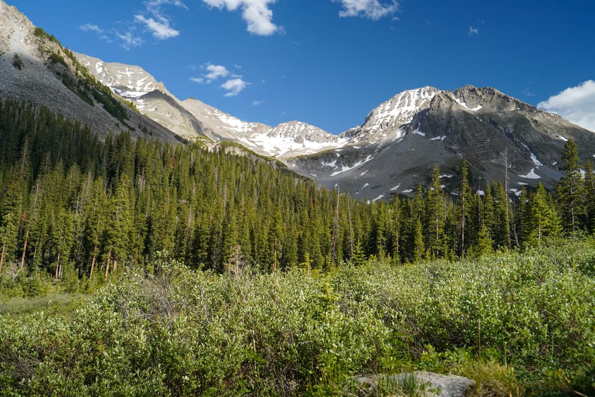 Snow-capped mountains with pine trees in the foreground along the Conundrum Hot Springs Trail in Maroon Bells-Snowmass Wilderness in Aspen, Colorado
