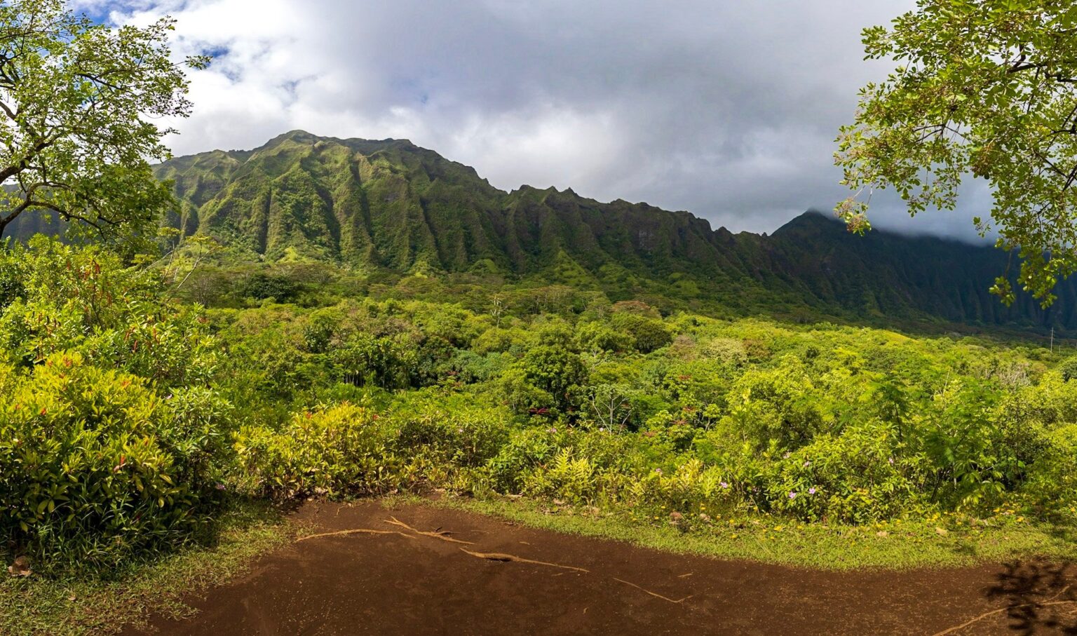 4 Actually Easy Hikes in Oahu: The Perfect Trails for Beginners ...