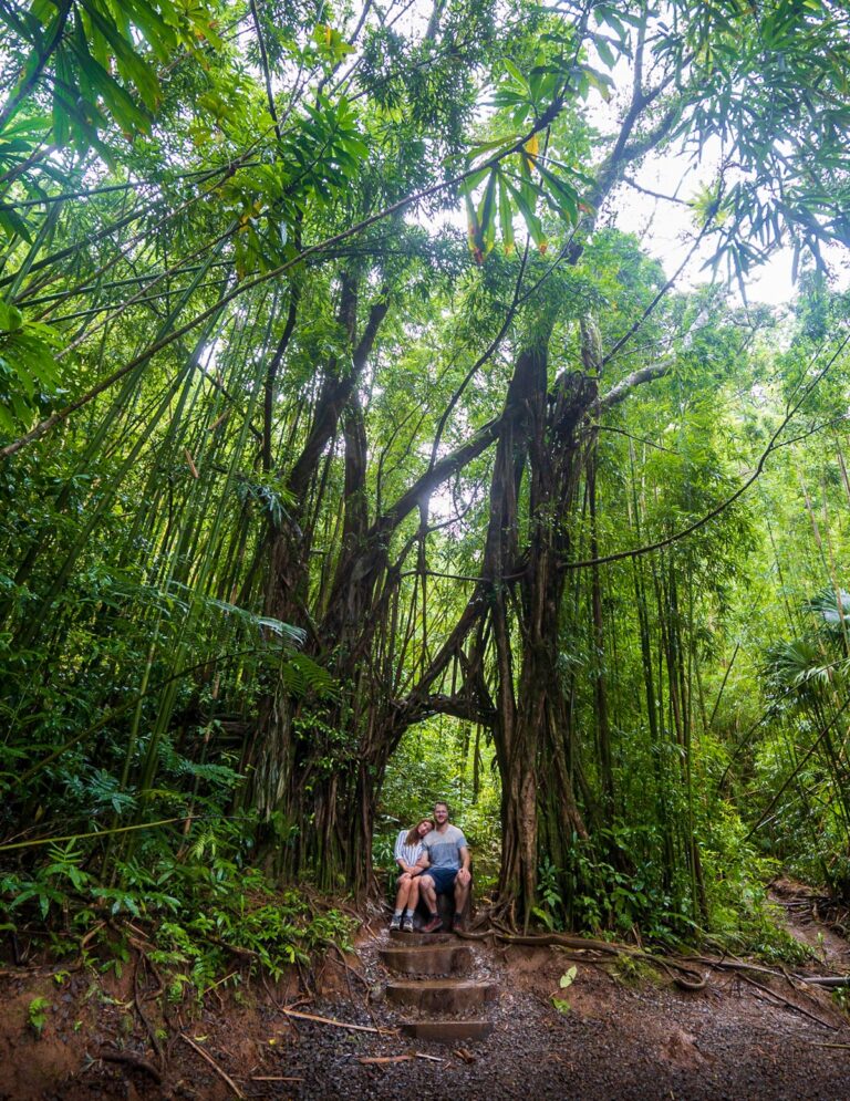 4 Actually Easy Hikes in Oahu: The Perfect Trails for Beginners ...