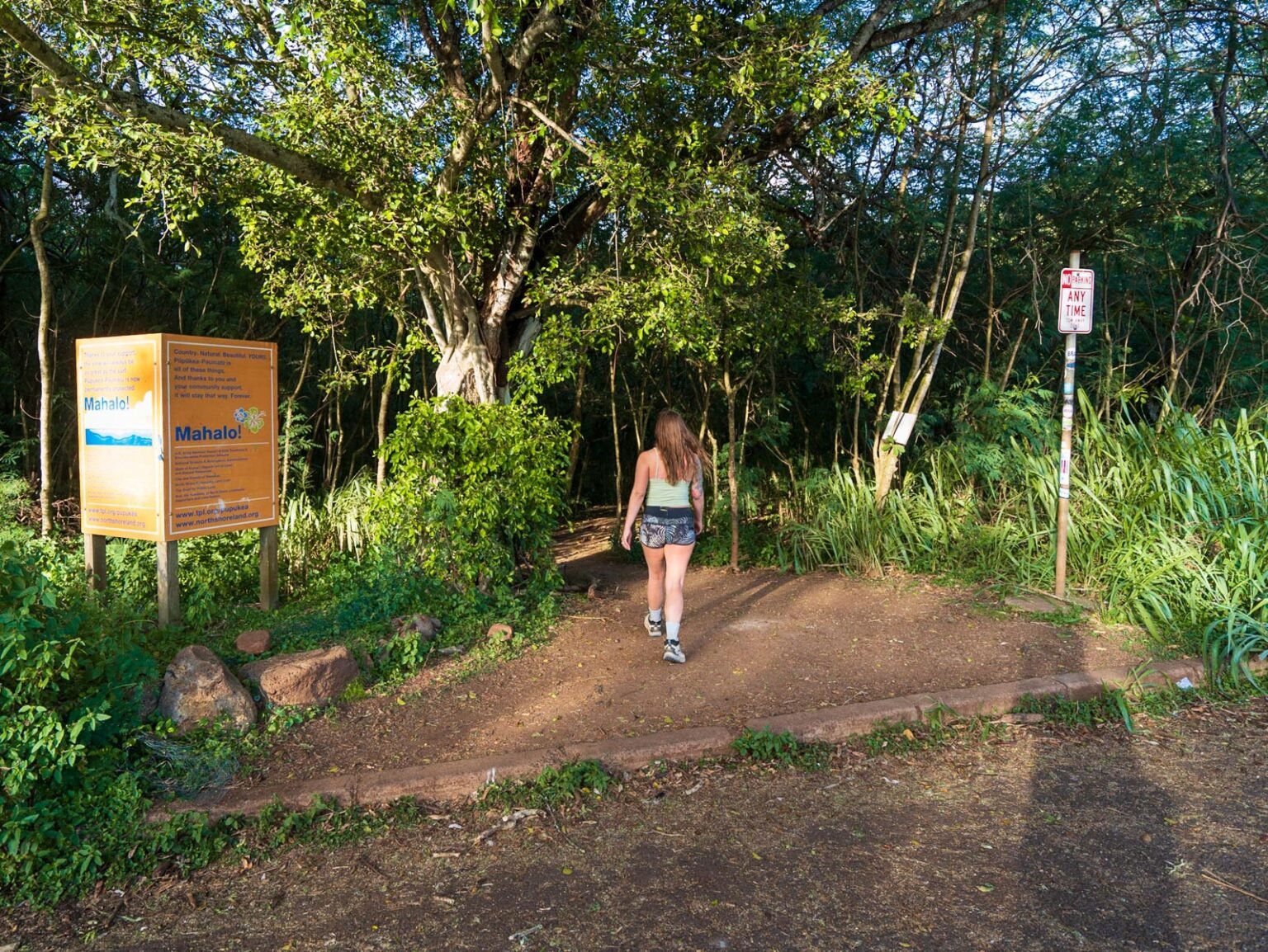 Ehukai Pillbox Hike The Best Hike on Oahu's North Shore Uprooted