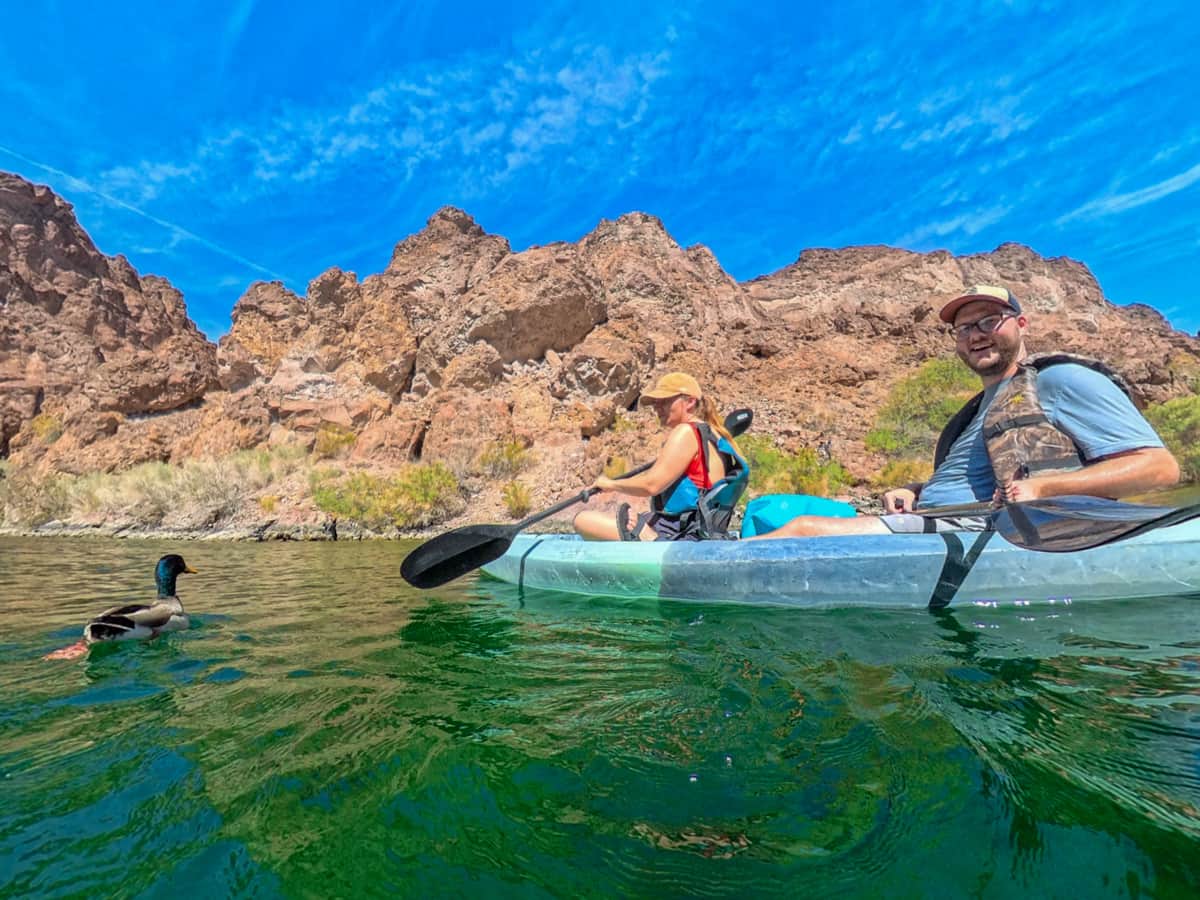 Couple looking at a duck in the water while kayaking down the Colorado River in the Lake Mead National Recreation Area in Willow, Arizona