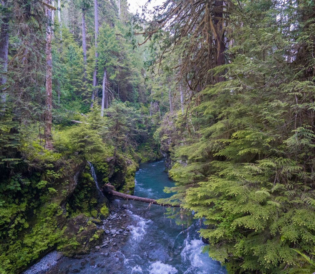 Enchanted Valley Olympic National Park s Most Epic Backpacking