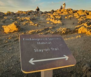 4 Reasons Why Sunset at Haleakala National Park Beats Sunrise (+ Tips