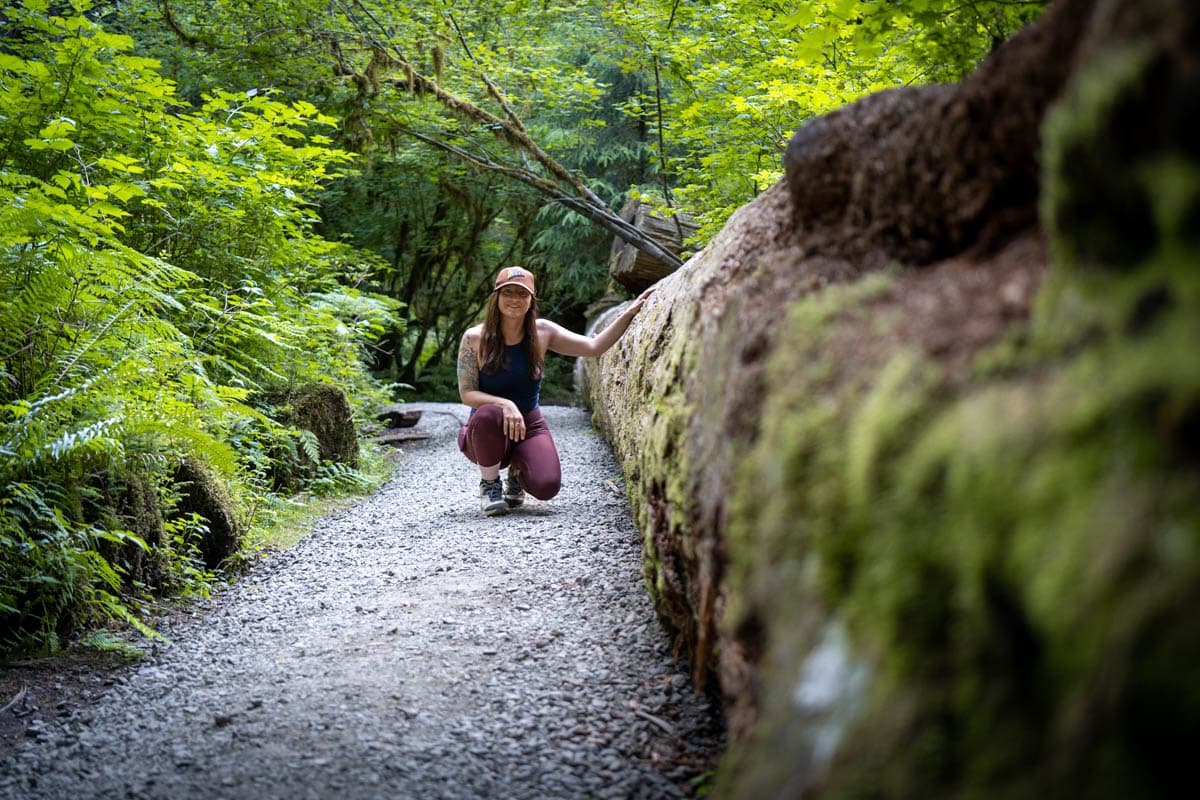 Hall of mosses trail in hotsell the hoh rainforest