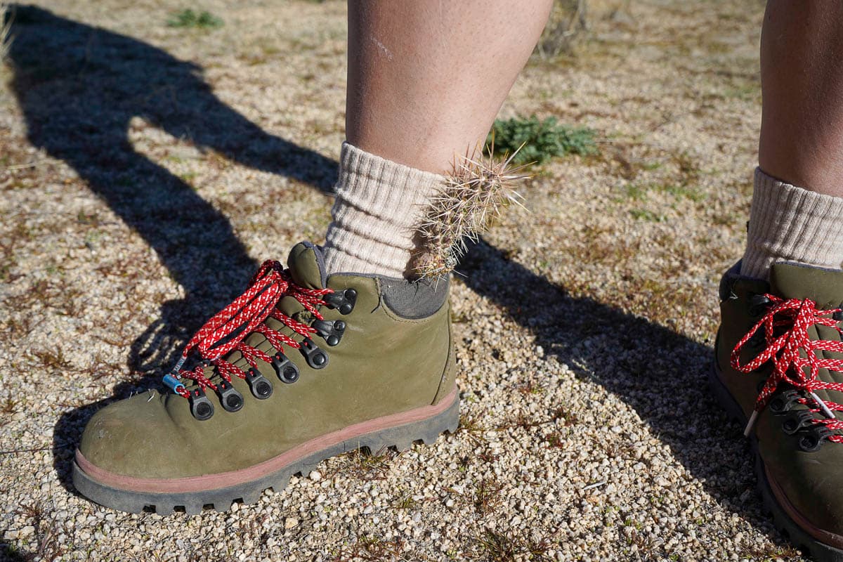 Cactus stuck on a woman's ankle along the Hidden Valley Trail in Joshua Tree National Park in California