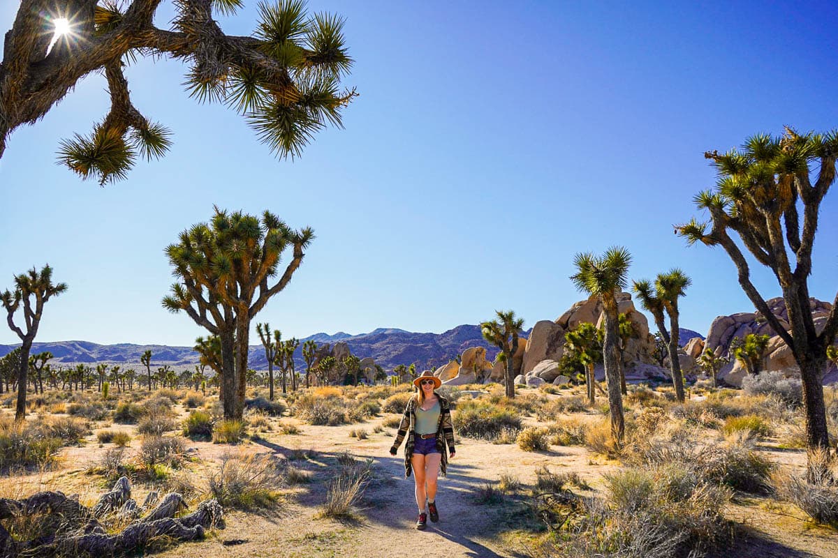 Woman walking along the Hidden Valley Trail with Joshua Trees along the pathway and monzogranite boulders in the background in Joshua Tree National Park in California