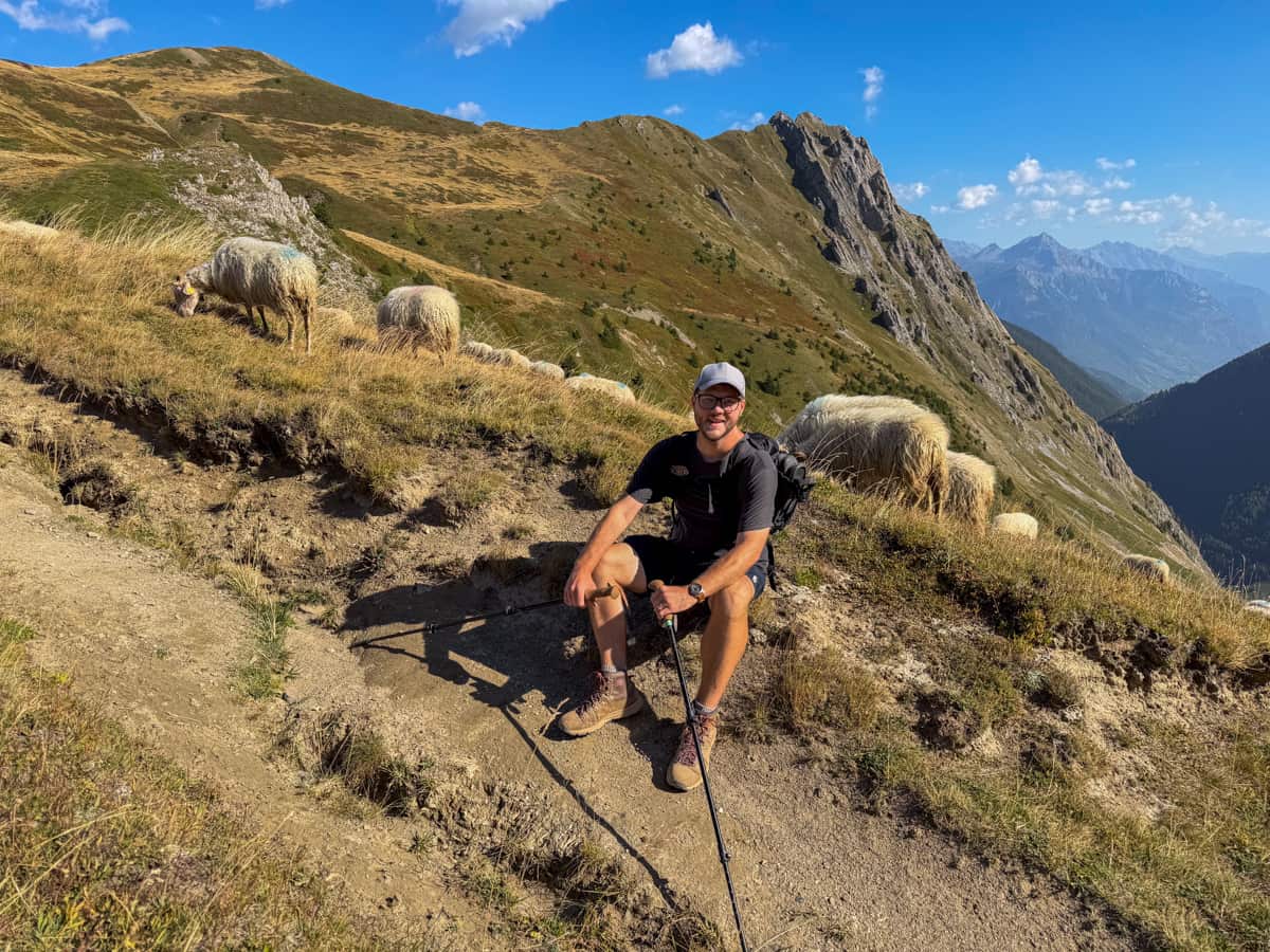 Smiling man sitting along the Tour du Mont Blanc with grazing sheep and mountains in the background near Col de Balme pass, Switzerland