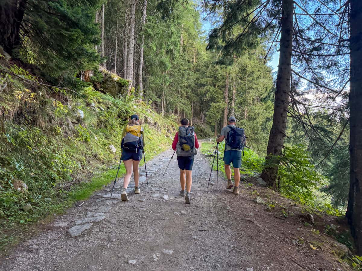 Three hikers walking through a forest near Trient, Switzerland along the Tour du Mont Blanc