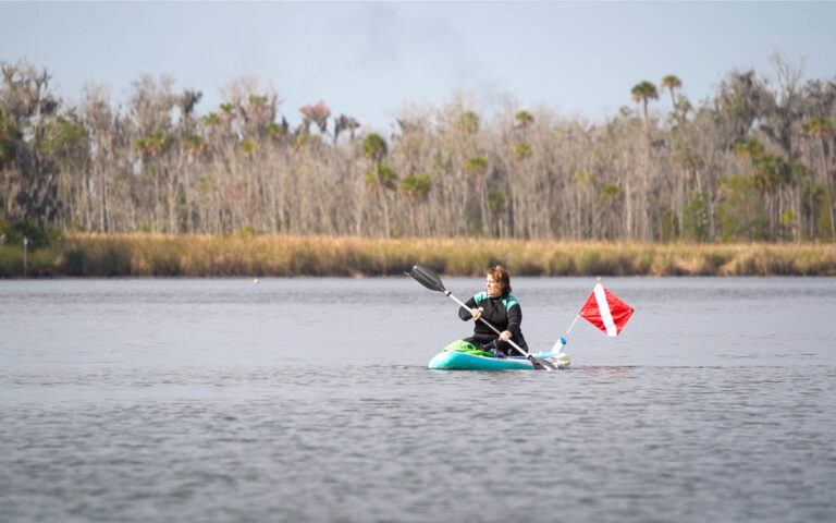 10 Best Places for Kayaking with Manatees in Florida - Uprooted Traveler
