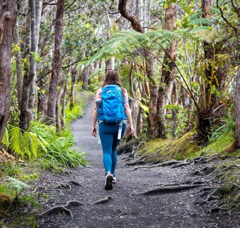 Kilauea Iki Trail The Most Unique Hike on the Big Island Uprooted