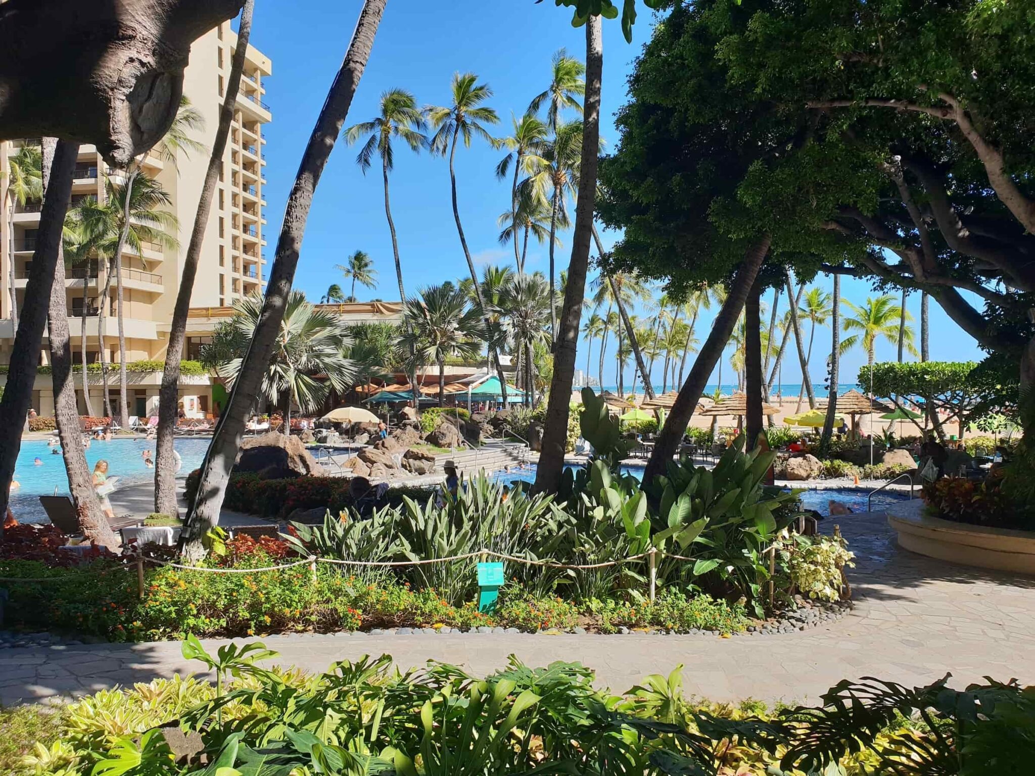 Kona vs. Hilo Where Should You Stay? Uprooted Traveler