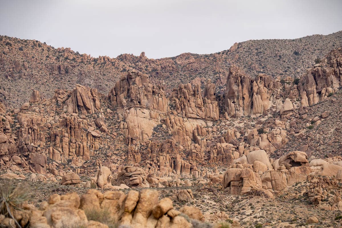 Monzogranite boulders along a mountain slope along the Lost Palms Oasis Trail in Joshua Tree National Park, California
