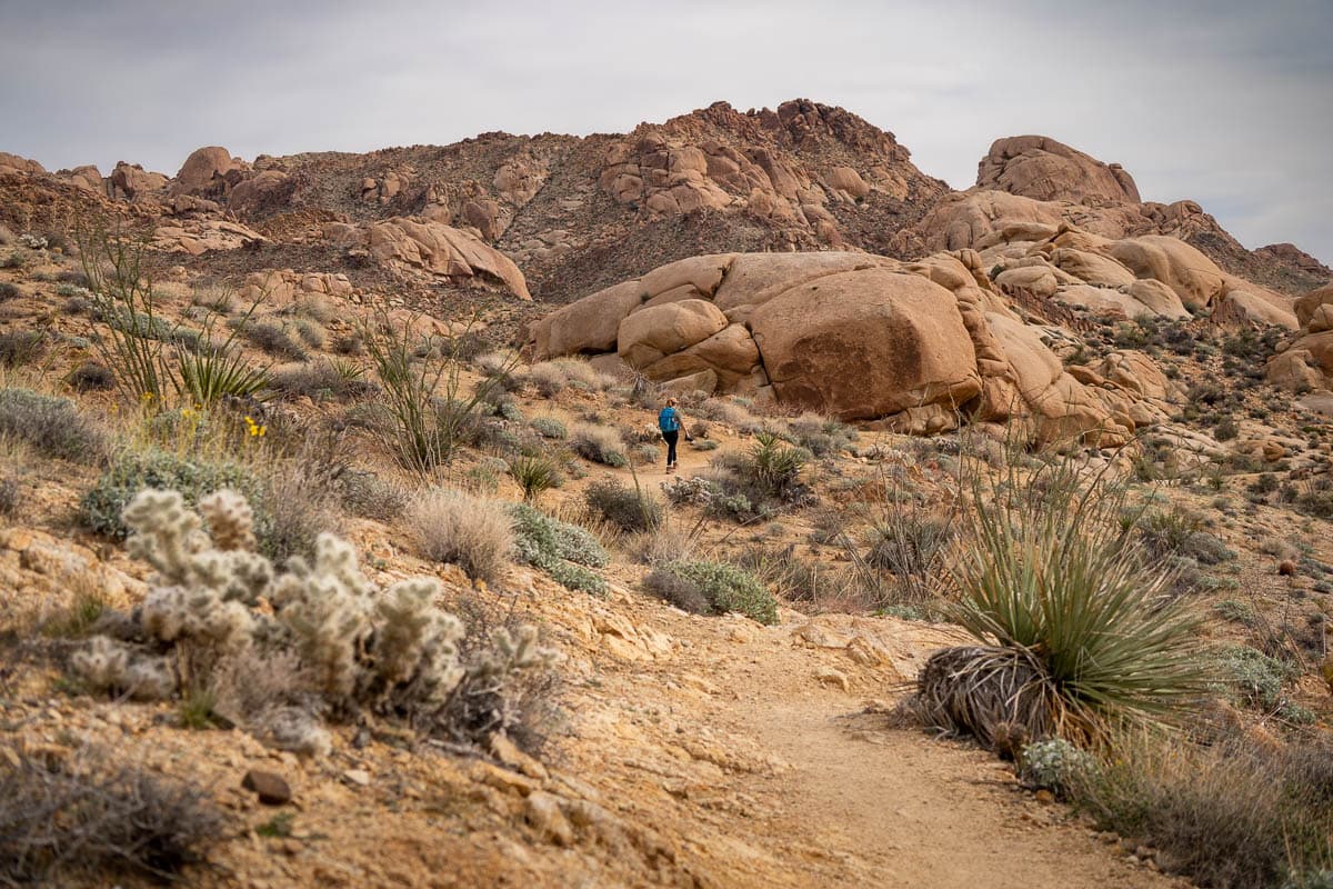 Woman walking along the Lost Palms Oasis Trail with monzogranite boulders in the background in Joshua Tree National Park, California