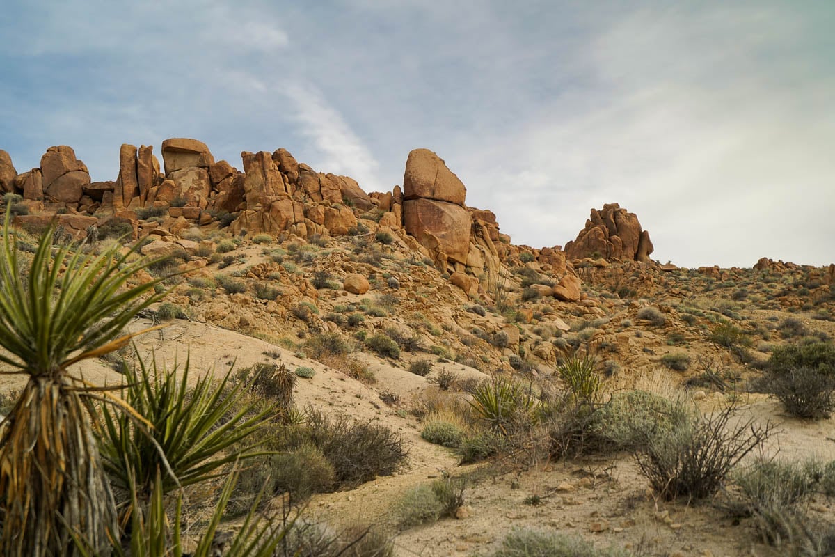Monzogranite boulders on top of a hillside along the Lost Palms Oasis Trail, California