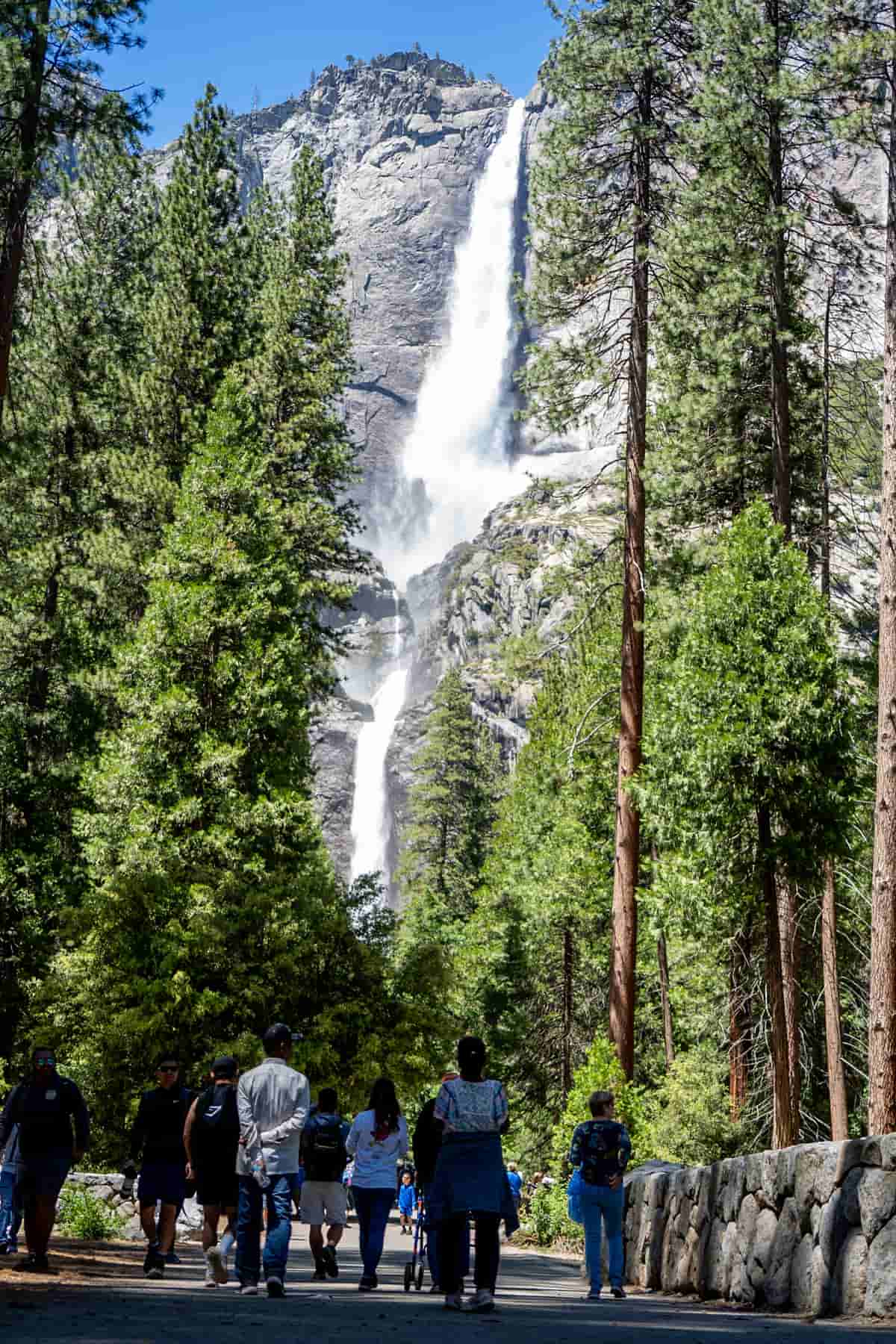 Tourists walking along the Yosemite Falls Trail in Yosemite National Park