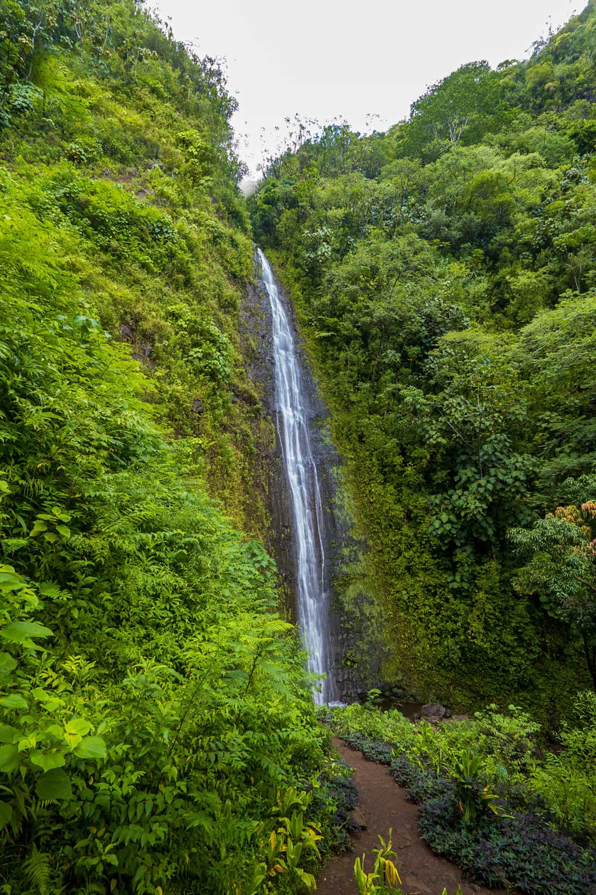 9 Incredible Oahu Hikes for All Skill Levels Uprooted Traveler