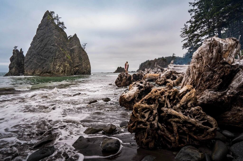 10 Stunning Olympic National Park Beaches to Add to Your Bucket List ...