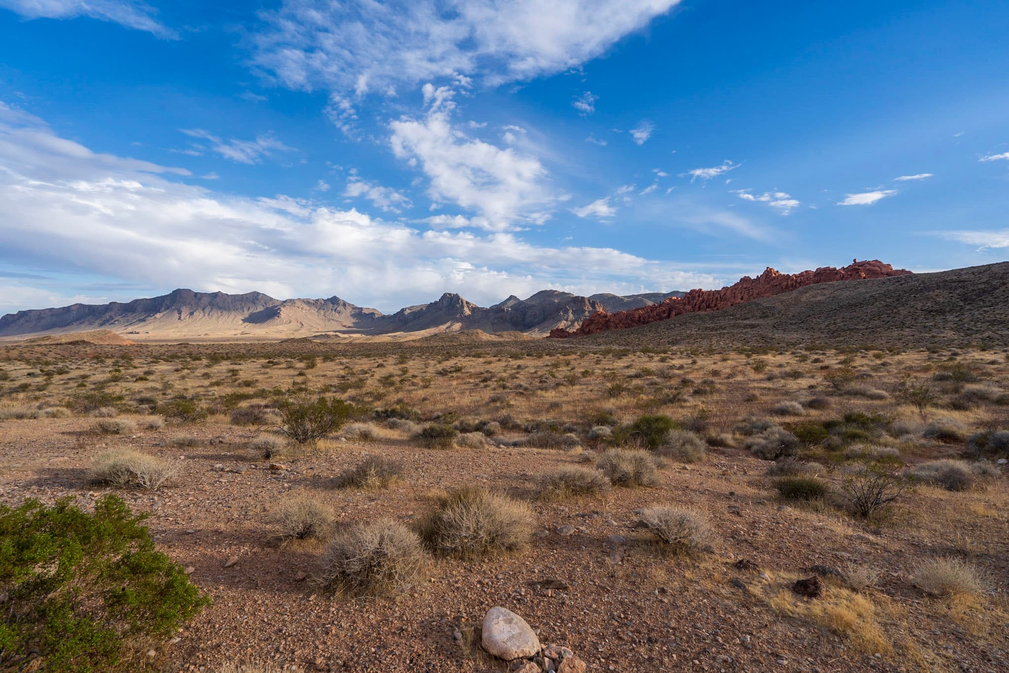 Pink Canyon Valley of Fire's Incredible Hidden Gem Uprooted Traveler