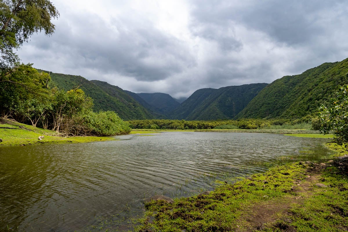 Pololū Trail: The Big Island's Most Jaw-dropping Hike - Uprooted Traveler