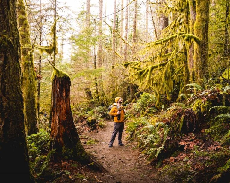 Rattlesnake Ledge Trail One of the Best Hikes Near Seattle with Mountain Views Uprooted Traveler