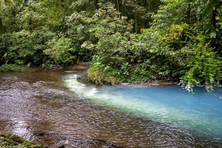10 Best Rio Celeste Tours: Guide to Costa Rica’s Bluest Waterfall ...