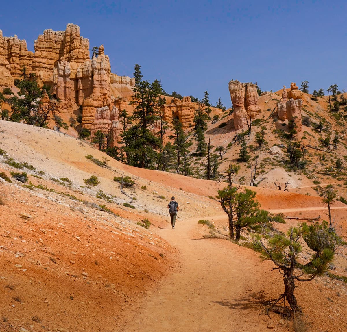 Man hiking along the Fairyland Loop Trail with hoodoos in the background in Bryce Canyon National Park