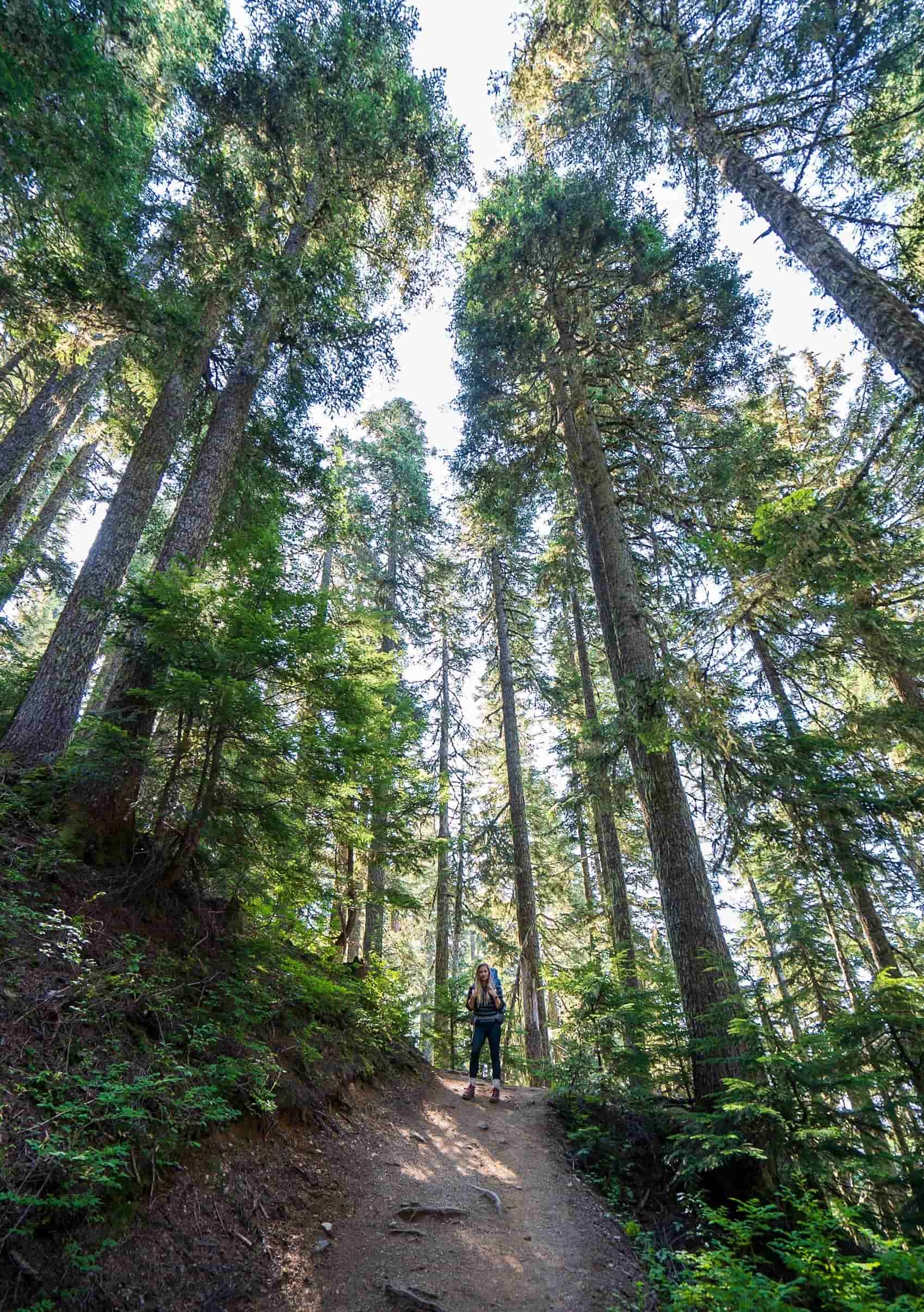 Woman hiking Skyline Divide