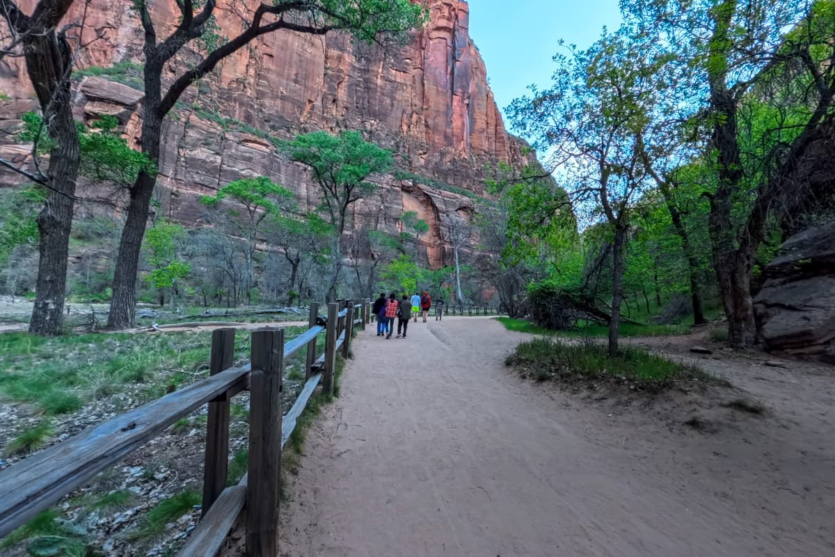 Hikers walking along the Riverside Walk with walls of the Zion Canyon in the background in Zion National Park
