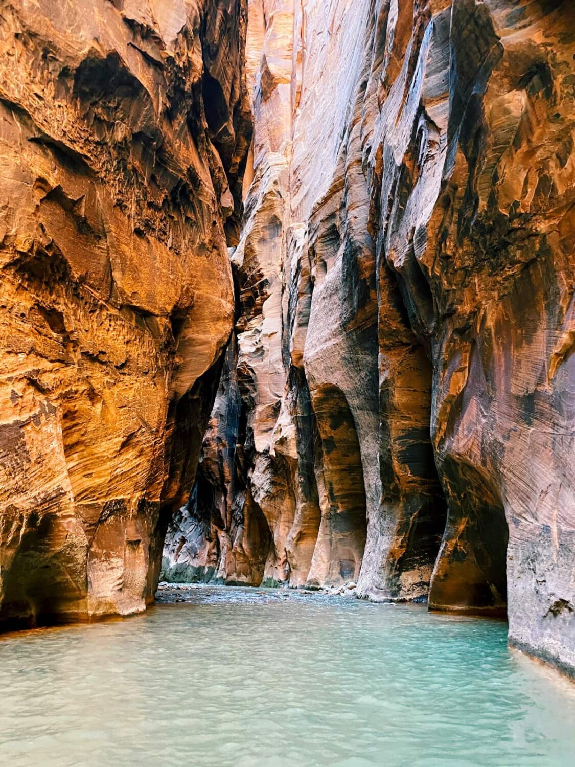 Turquoise waters of the Virgin River flowing through the walls of Zion Canyon along the Narrows trail in Zion National Park